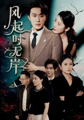 风起时无在线观看