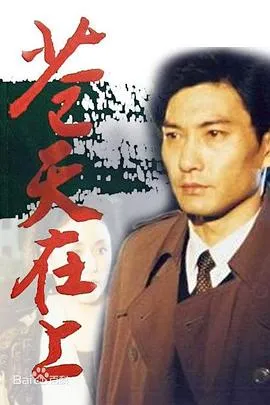 苍天在上1995[电影解说]在线观看