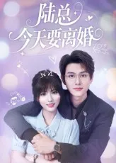 陆总今天要离婚在线观看