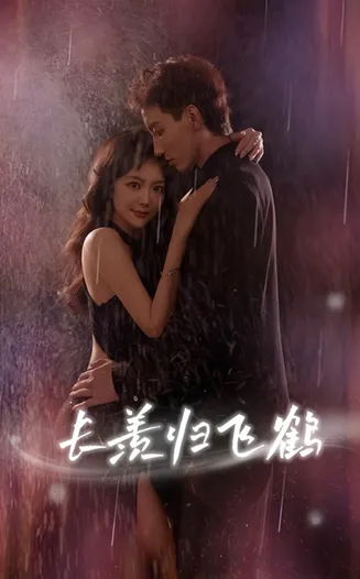 长羡归飞鹤在线观看