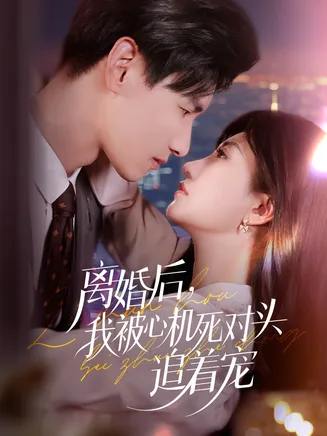 离婚后我被心机死对头追着宠在线观看