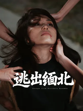 逃出缅北在线观看