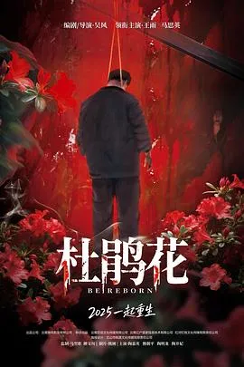 杜鹃花在线观看