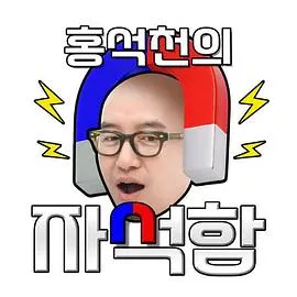 洪锡天的磁铁盒在线观看