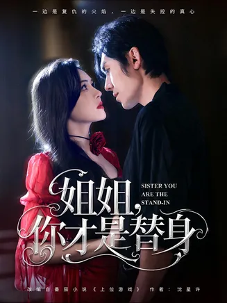 姐姐你才是替身在线观看
