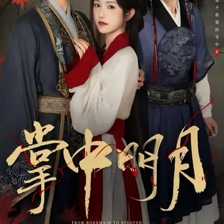 掌中明月在线观看