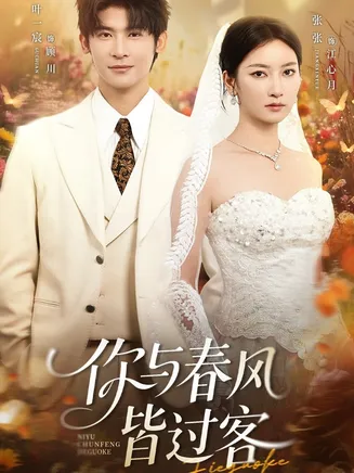你与春风皆过客在线观看