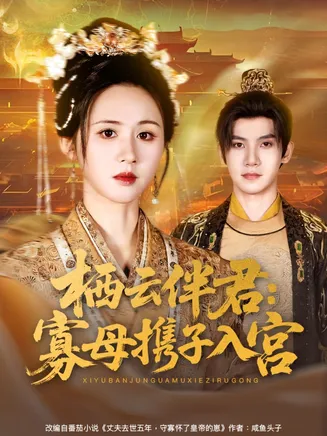 栖云伴君寡母携子入宫在线观看