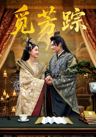 觅芳踪在线观看