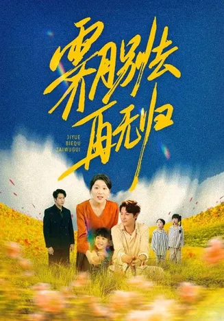 霁月别去再无归在线观看
