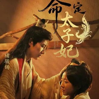 命定太子妃在线观看