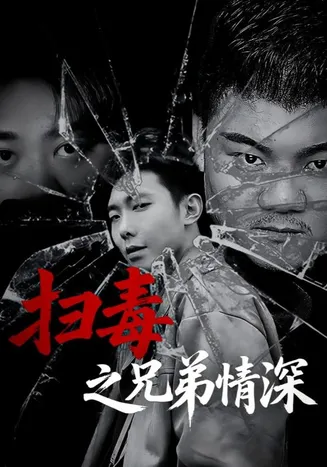 扫毒之兄弟情深在线观看