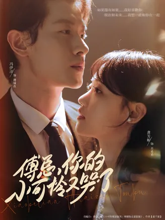 傅总你的小可怜又哭了在线观看