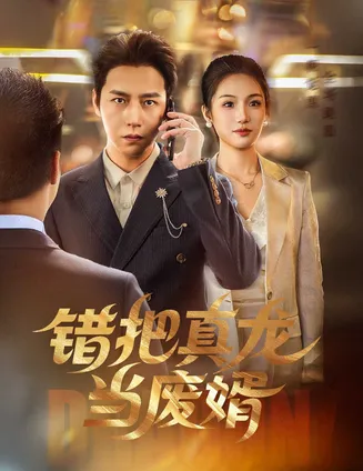 错把真龙当废婿在线观看