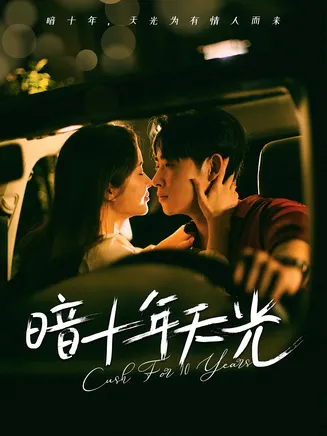 暗十年天光在线观看