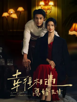 幸得相遇离婚时在线观看