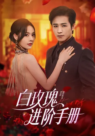 白玫瑰进阶手册在线观看