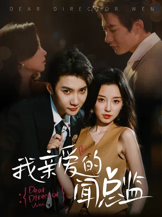 我亲爱的闻总监在线观看