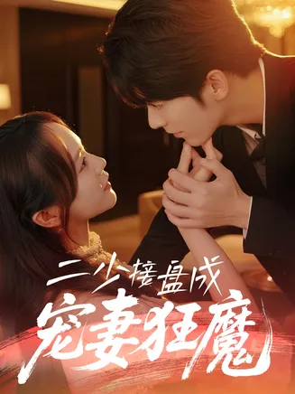 二少接盘成宠妻狂魔在线观看