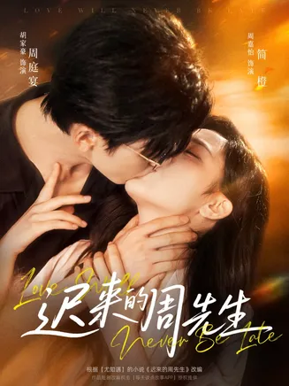 迟来的周先生在线观看