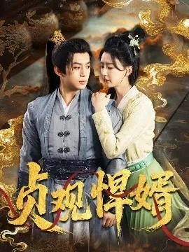 贞观悍婿在线观看