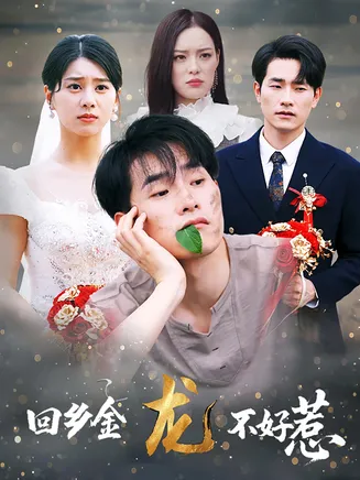 回乡金龙不好惹在线观看