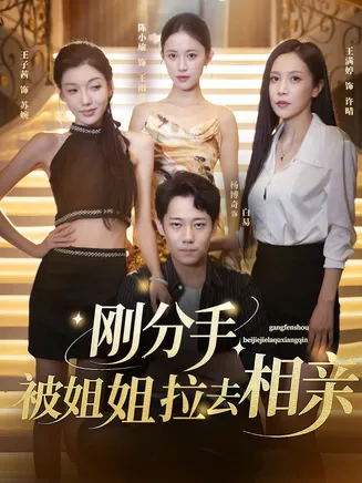 刚分手被姐姐拉去相亲在线观看