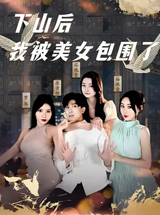 下山后我被美女包围了在线观看