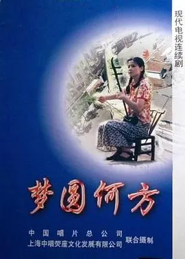 梦圆何方在线观看