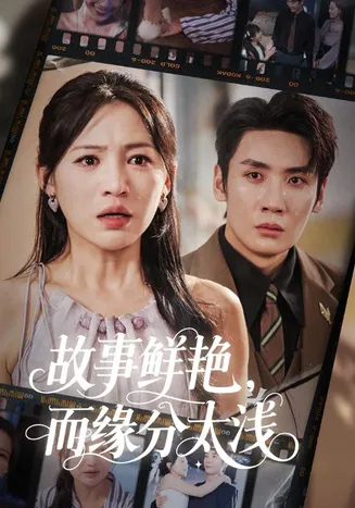故事鲜艳而缘分太浅在线观看