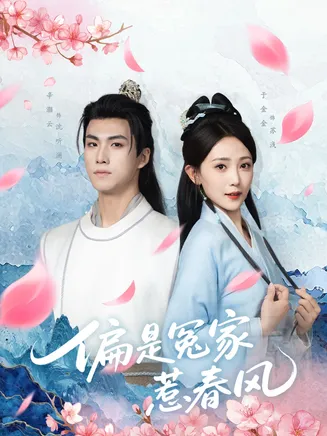 偏是冤家惹春风在线观看