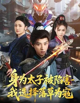 身为太子被陷害,我选择落草为寇在线观看