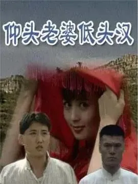 仰头老婆低头汉[电影解说]在线观看