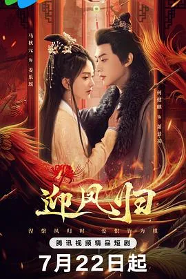 迎凤归在线观看
