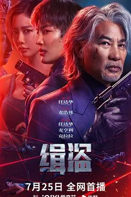 缉盗2025在线观看