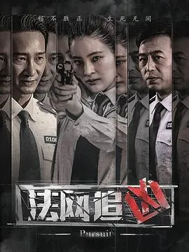 法网追凶[电影解说]在线观看