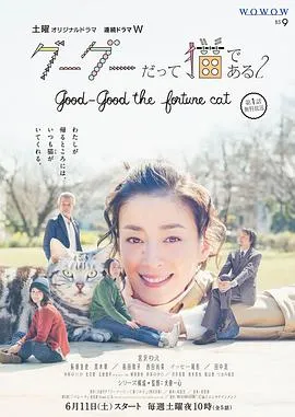 咕咕是一只猫第二季在线观看