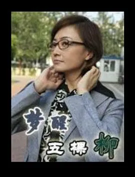 梦醒五棵柳[电影解说]在线观看