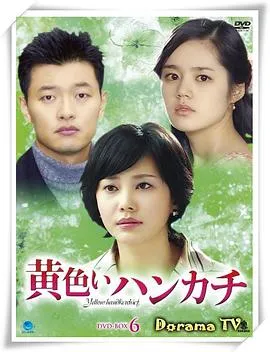 黄手帕在线观看