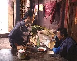 李氏家族在线观看