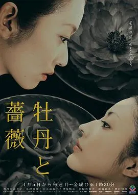 牡丹与玫瑰在线观看