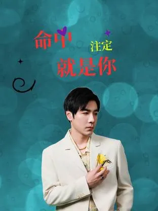 命中注定就是你在线观看
