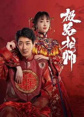 麻衣神婿在线观看