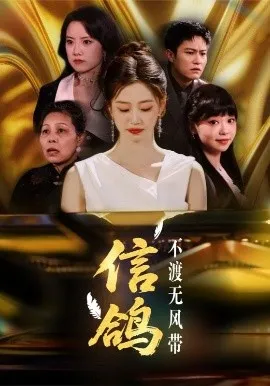 信鸽不渡无风带在线观看