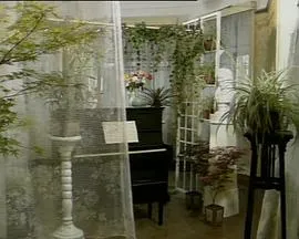 寒星1992在线观看
