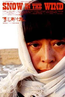 雪花那个飘2006[电影解说]在线观看