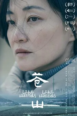 苍山2023在线观看