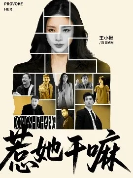 惹她干嘛在线观看