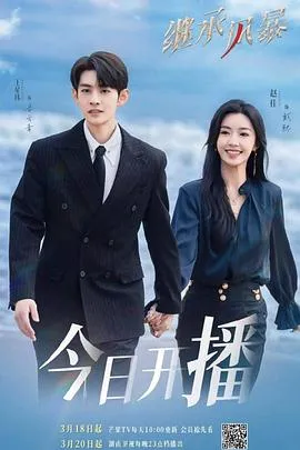 继承风暴在线观看