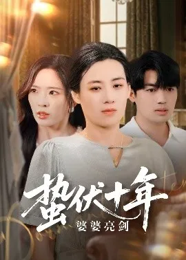 蛰伏十年婆婆亮剑在线观看